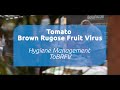 Hygiene management for ToBRFV – a presentation from Jasper Verhoeven (Royal Brinkman)