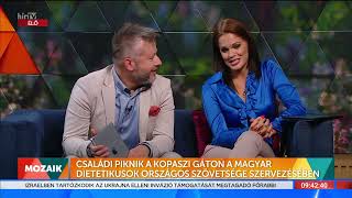 Mozaik - Családi Piknik a Kopaszi gáton  - HÍR TV