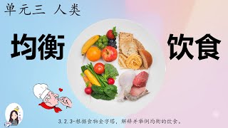 三年级 KSSR Semakan 科学 单元三 人类【均衡的饮食】【饮食不均衡的后果】【营养标签】