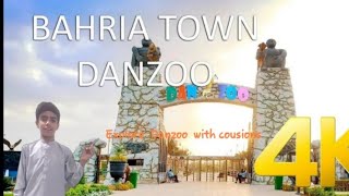 Explore Danzoo  with cousions