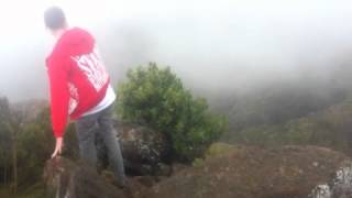 Mt Kaputar Pink Slug hunting