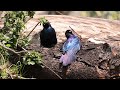 rüppell s starling in kenya.