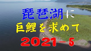 琵琶湖に巨鯉を求めて2021-5 梅雨明け後の安曇川