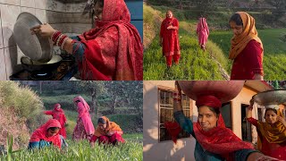 पहली बार i phone से व्लोग बनाया 📲#twins #village #himachal