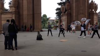 Flash Mob Proposal at the Palace of Fine Arts (San Francisco, CA)