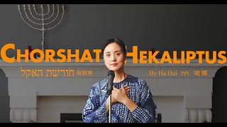 Classical Hebrew songs希伯来语歌曲《Chorshat Hekaliptus 桉树林》演唱：哈辉   singer :Ha hui