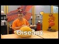 Qu'y a-t-il dans l'oeuf ? - C'est pas sorcier