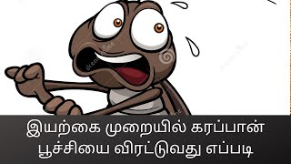 இயற்கை முறையில் கரப்பான் பூச்சியை விரட்டுவது எப்படி #195 (How to get rid of cockroach naturally)