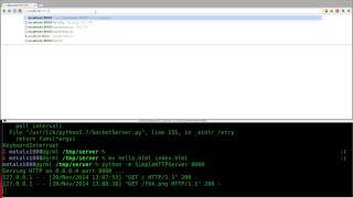 Setup a Webserver with Python Linux Tutorials clip11
