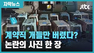 [자막뉴스] 정식 군견 아닌 개들만 버렸다? 미 언론에 공개된 논란의 사진 한 장 / JTBC News