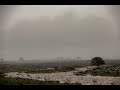 capítulo 296. llegada a aera bajo la lluvia. curación de los enfermos que allí esperan.