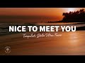 TWOPILOTS, Dela Utca - Nice To Meet You (Lyrics) ft. Feeve