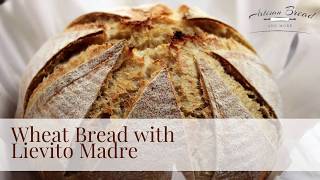 Dutch Oven Whole Wheat Bread with Lievito Madre - artisanbreadandmore.com