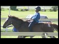 20180929 scottsville rural race 5