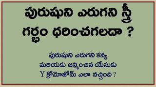 పురుషుని ఎరుగని స్త్రీ గర్భం ధరించగలదా ?