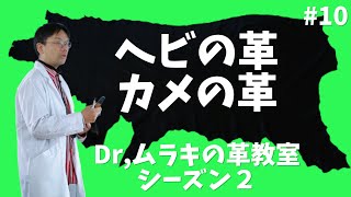 【Dr,ムラキシーズン2】蛇の革。カメの革。前編。#10