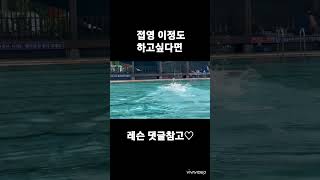 접영50미터 이정도만 하자