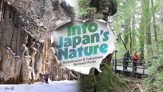 Into Japan's Nature: Daisetsuzan \u0026 Yakushima National Parks