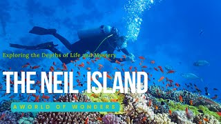 Exploring the Underwater Wonders of Neil Island l CINEMATIC