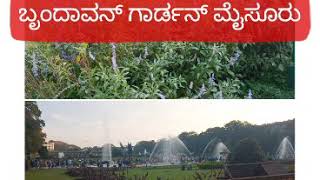 Brindavan garden one of the Magnificent Garden of India|Mysore Karnataka|ಬೃಂದಾವನ್ ಗಾರ್ಡನ್|KRS GARDEN