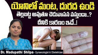 యోనిలో దురద, మంట || Symptoms of Lower Genital Tract Infection in Telugu || Dr Shilpa Women's Clinic