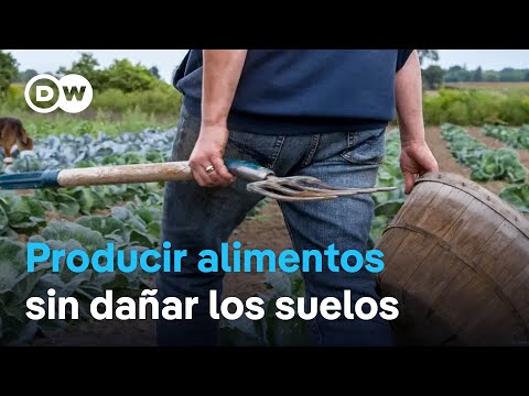 Video Qué Pueden Hacer Los Agricultores Para Asegurar Sus Cosechas