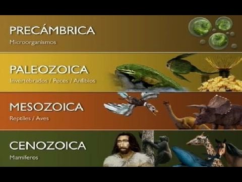 ERAS GEOLÓGICAS - YouTube