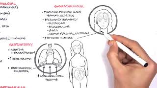 Physiological Changes During Pregnancy#MedicoLover | MCI, FMGE , USMLE