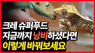 크레스티드 게코 슈퍼푸드 지금까지 낭비하셨다면, 이렇게 바꿔보세요.