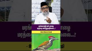 மரங்கொத்தி ஏன் வாழை மரத்தை கொத்துவதில்லை.. | இமாம் இல்யாஸ் ரியாஜி