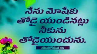 దేవుడు నన్ను సంతోషపరుస్తాడు,నేను నిజంగా ఆయన పవిత్ర నామాన్ని నమ్ముకొంటాను.   యెహోవా, మేము