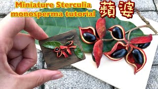 Mini食#72 你們認識它嗎［蘋婆］Miniature Sterculia monosperma tutorial|Doll house|袖珍【狂想手創】139