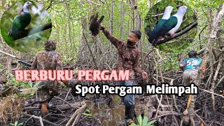 Berburu Pergam Di Spot Idaman ‼️ Poin Melimpah