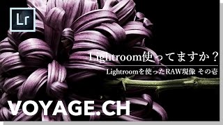 Lightroom使ってますか？Lightroomを使ったRAW現像 その壱