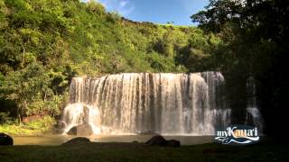 Kilauea Falls: Discover the Breathtaking Wonder of Kaua‘i