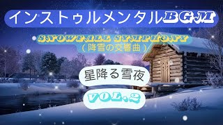 【Snowfall Symphony（降雪の交響曲）】星降る雪夜 - Starlit Snowy Night.2