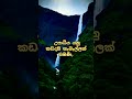 සැබෑ ජීවිතයේ උපාධිය යනු🔥❤️💯 motivation sinhala motivation ytshorts youtube yohubhub