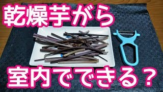 【農業#41】乾燥芋がら、夏場の室内でできるか？ずいきを加工！【自然栽培】