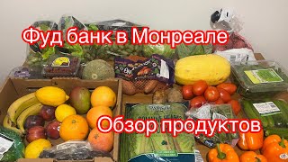 Фуд банк в Монреале. Обзор продуктов. Помощь иммигрантам.