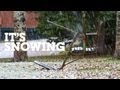 It's Snowing - October 24, 2012