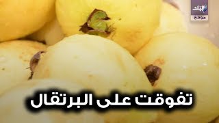 صدي البلد | 15 فائدة للجوافة