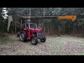 harvesting firewood and testing the fiskars sappie hookaroon or pickaroon.