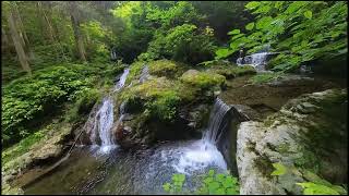 東京都檜原村本宿 払沢(ほっさわ）の滝周辺の沢