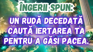 MESAJ DE LA ÎNGERI│UN RUDĂ DECEDATĂ CAUTĂ IERTAREA TA PENTRU A GĂSI PACEA.