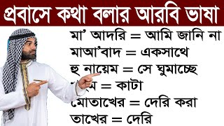 আরবিতে কথা বলতে চান? এখনই আরবি ভাষা ভিডিওতে ক্লিক করুন