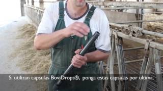 Bolus Gun Video with Spanish Translation