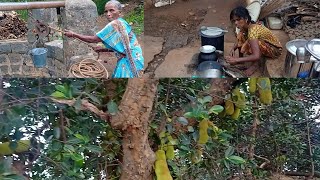 பச்சைமலை பயணம் மலைவாசியுடன் ஒரு நாள்