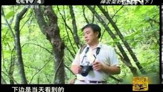 走遍中国 《走遍中国》 20120719 神农架野人追踪（下）