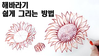 초보자를 위한 해바라기꽃 스케치 수업 / 꽃 잘 그리는 방법, 식물스케치 Drawing Sunflower Sketch