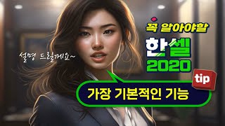 컴퓨터 한셀 프로그램 가장 기본적인 기능 확실히 익히기